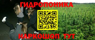 apvp Коммунар